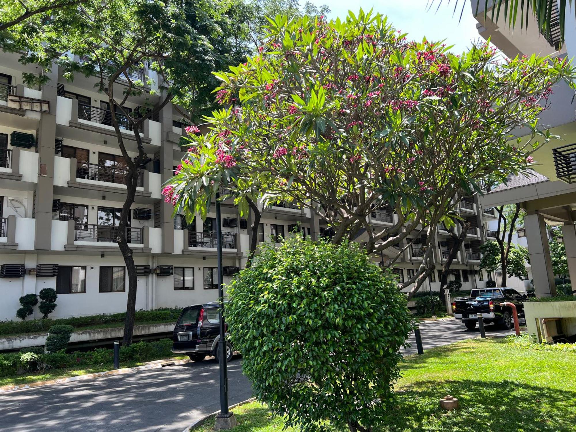 מנילה Stunning 2Br Apt, 65 Sq M Netflix At Rosewood Pointe Residences Near Bgc מראה חיצוני תמונה
